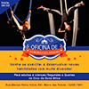 Oficina-Acrobacia-Aérea